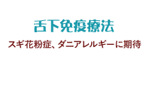 舌下免疫療法 スギ花粉症に期待